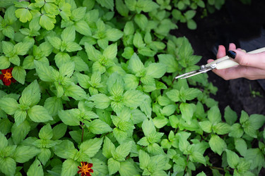 Similar image 22285545