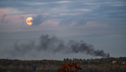 Similar image 22273103