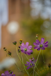 Similar image 22268645