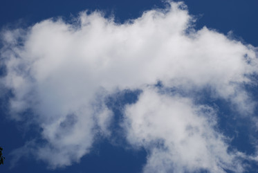 Similar image 22273318