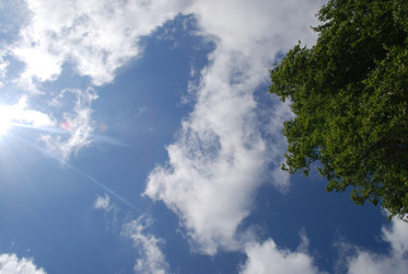 Similar image 22273325