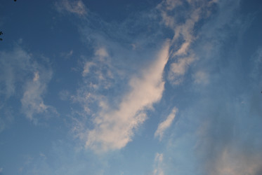 Similar image 22273339