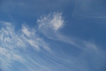 Similar image 22273344