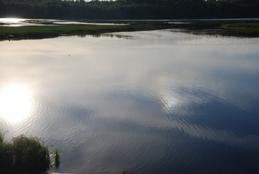 Similar image 22273498