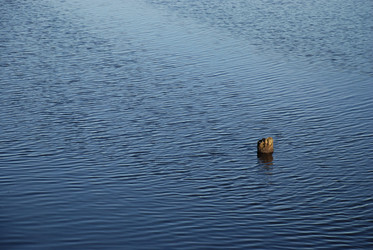 Similar image 22273504