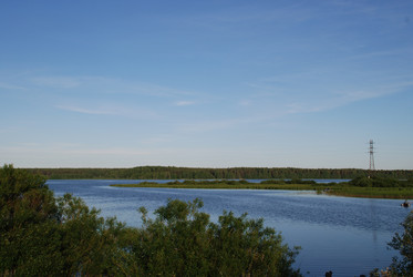 Similar image 22273505