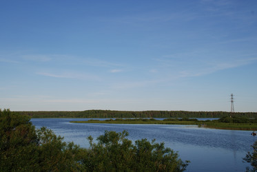 Similar image 22273506