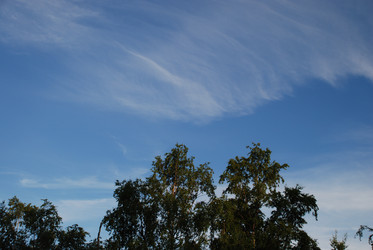 Similar image 22273507