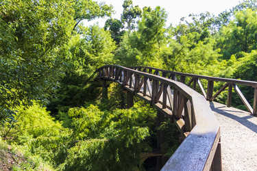 Similar image 22275263