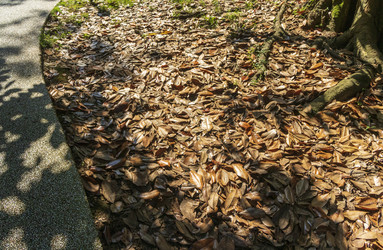 Similar image 22275264