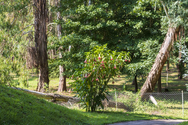 Similar image 22275267