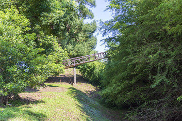 Similar image 22275269