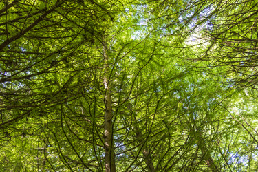 Similar image 22275274