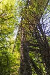 Similar image 22275275