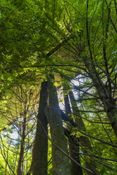 Similar image 22275277