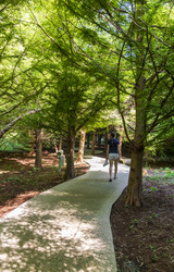 Similar image 22275279