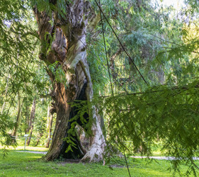 Similar image 22275283