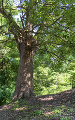 Similar image 22275285