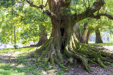 Similar image 22275286