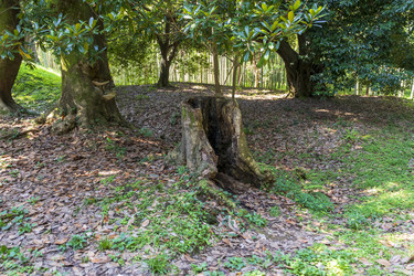 Similar image 22275287