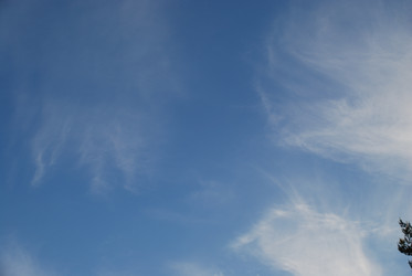 Similar image 22273353