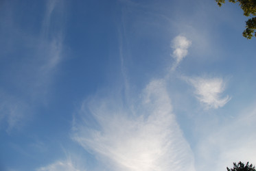 Similar image 22273354