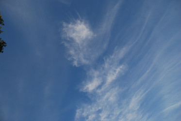 Similar image 22273355