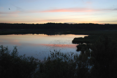 Similar image 22273363