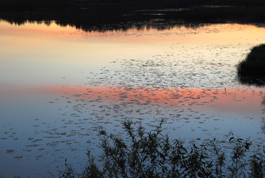 Similar image 22273366