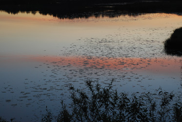 Similar image 22273367