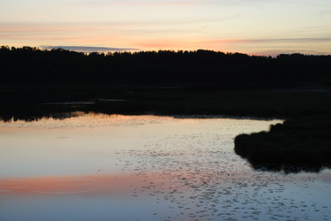 Similar image 22273368