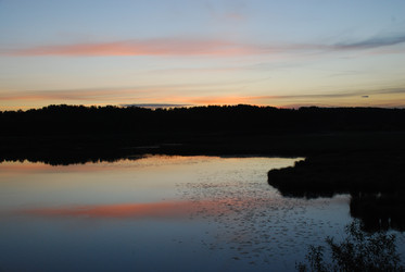 Similar image 22273370