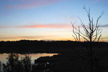 Similar image 22273372