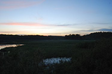 Similar image 22273374