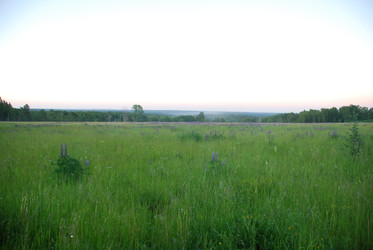 Similar image 22273375