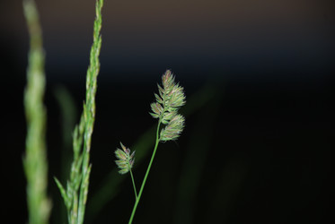 Similar image 22273376