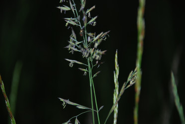 Similar image 22273377