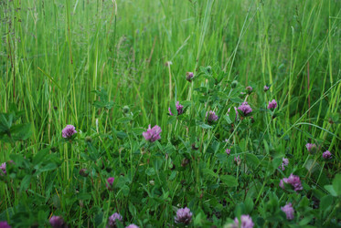 Similar image 22273378