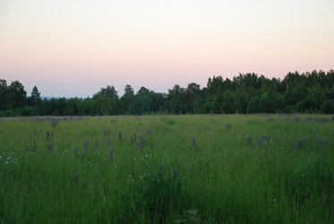 Similar image 22273381