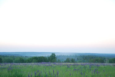 Similar image 22273383