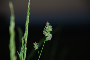 Similar image 22273384