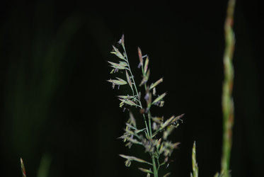 Similar image 22273385