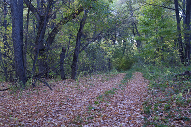 Similar image 22273109