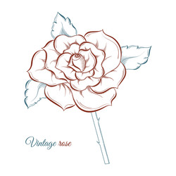 Similar image 22273911