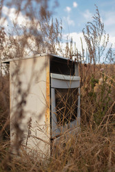 Similar image 22281319