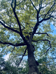 Similar image 22279690