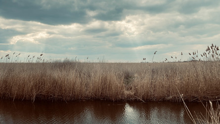 Similar image 22279694