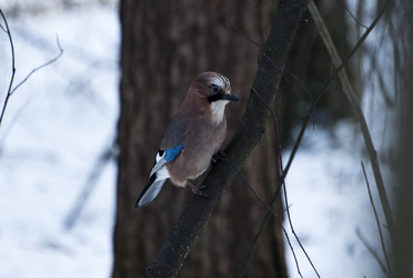 Similar image 22274108