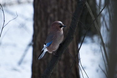 Similar image 22274109