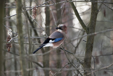 Similar image 22274110